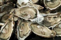 restaurant où manger des huîtres du Bassin d'Arcachon à Villenave d'Ornon